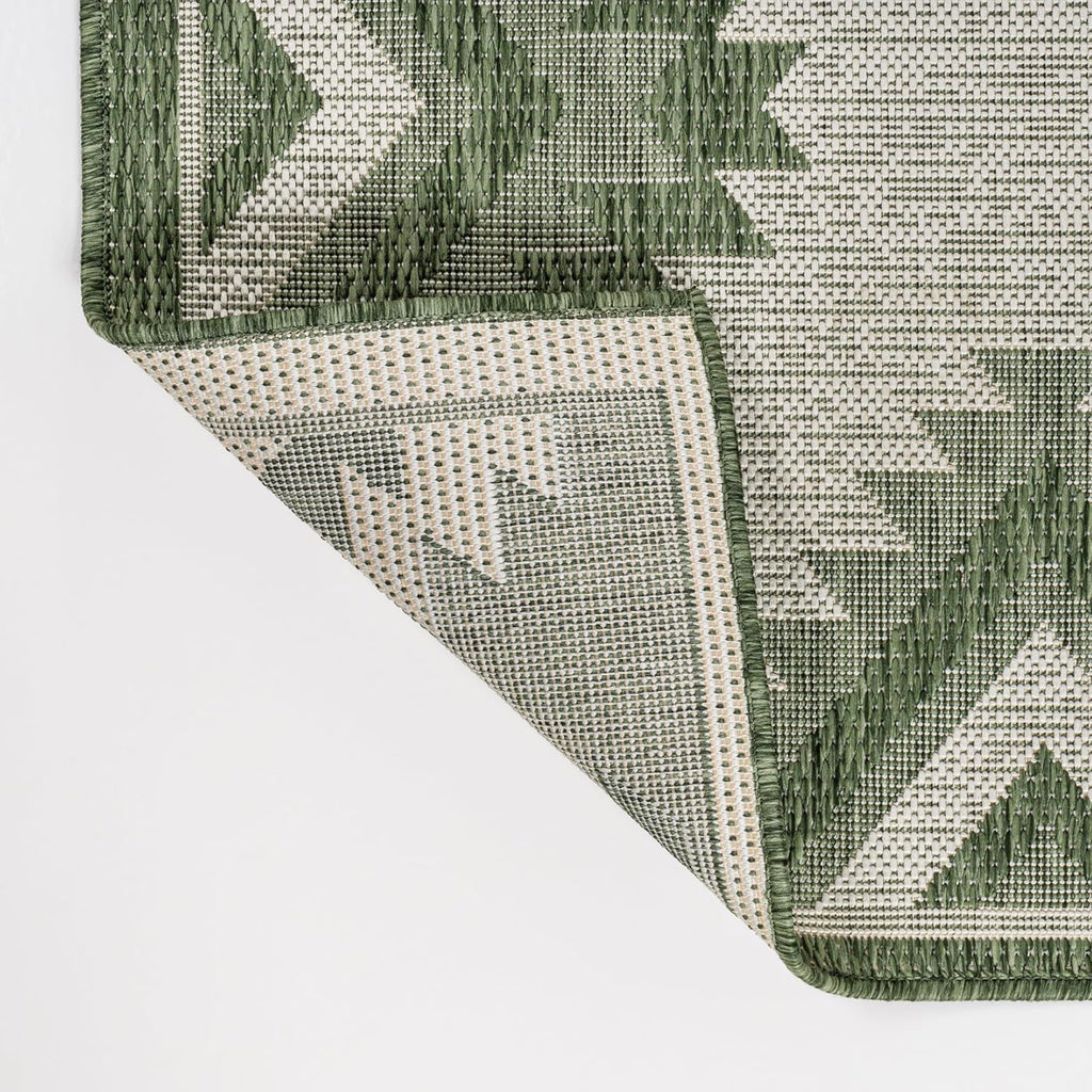 4X6 Green‑Cream Indoor‑Outdoor Area Rug